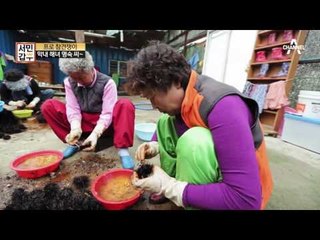 오지랖 대마왕 막내 해녀 명숙 씨, 사실은 해녀 대장?! #선주 #해녀사업