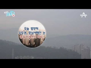 종일 미세먼지 비상!!