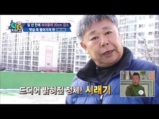 내장 지방 잡는 특효약 “시래기”?! 누구나 쉽게 만드는 시래기 반찬!