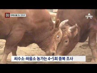 [채널A단독]항체형성률 100%…엉터리 조사로 혼란 키웠나?