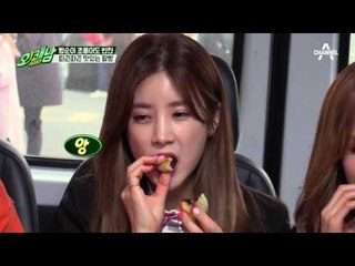 [경주 여행지] 에이핑크 대표 빵순이 초롱이 강추하는 경주 명물 팥빵집!