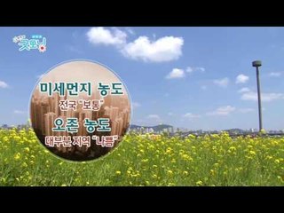 봄의 계절에 여름의 오늘 날씨, 내일 날씨는?