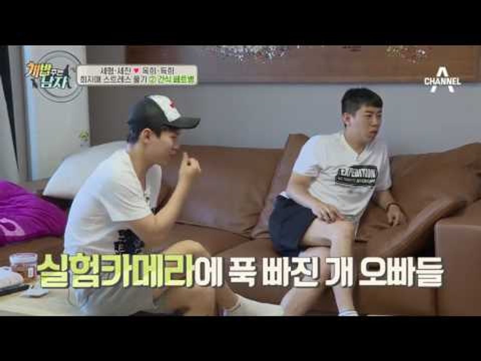 내 반려견을 위한 장난감! 천재견이 되는 길은 멀고도 험했다고 한다★