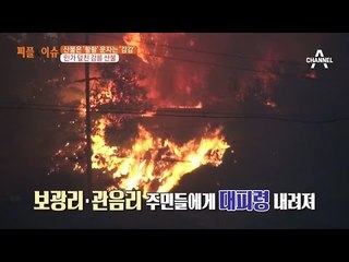 민가 덮친 강릉 산불, 문자는 감감무소식?