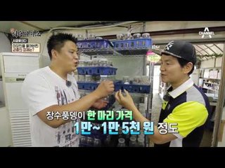 애완 곤충으로 연 매출 3억 원을 번다?! #사슴벌레 #장수풍뎅이