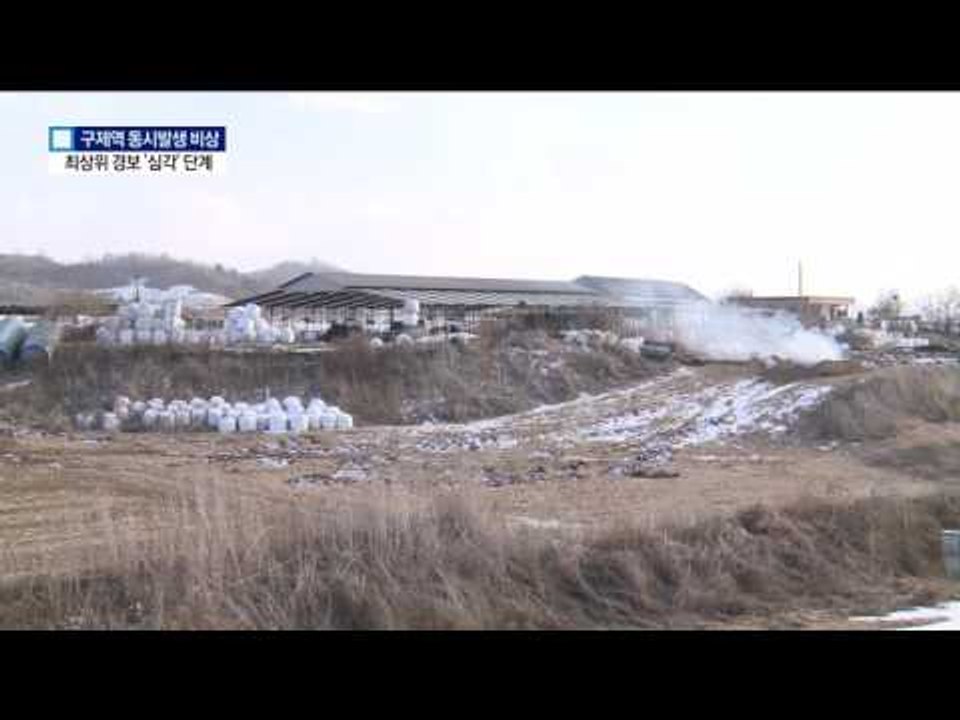 동시다발 구제역 발생…최고 단계 ‘심각’ 격상