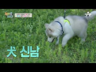 극단적인 최현석 패밀리ㅋㅋ 뚜이는 철쭉을 먹으면 죽는다?!