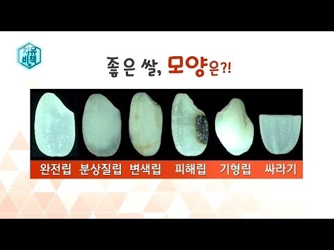 한국인은 역시 밥심! 쌀에 대한 오해와 진실
