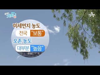 주말부터 본격적 여름 시작!