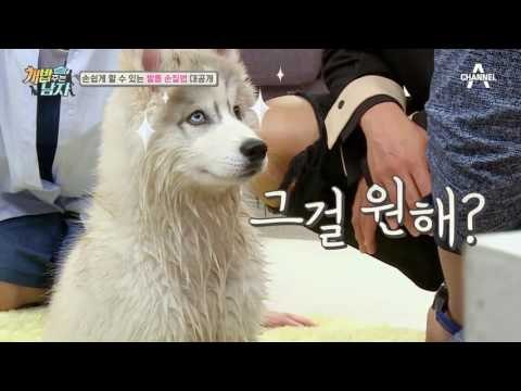 [반려견 육아 꿀팁] 개통령 강형욱의 손쉬운 발톱 손질법 大 공개!