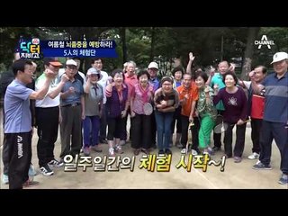 배우 김형자의 뇌졸중 발생률 10%낮추기 체험 도전기!