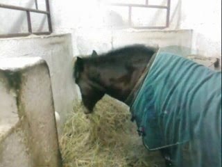 Montage kiki le super