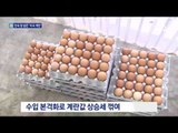 ‘美 달걀 수입 효과’…한 달 만에 계란값 하락