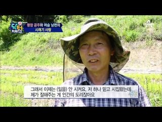 지바고 체험단, 관절 점수를 높여라! 시래기vs까마귀쪽나무 결과는?!