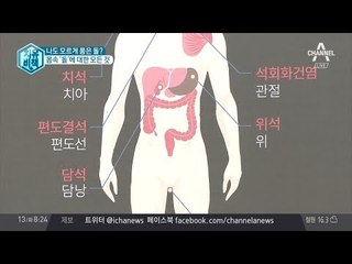나도 모르게 품은 돌, 몸속 돌에 대한 모든 것