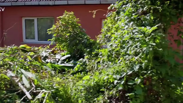 Kırgın Çiçekler 62.Bölüm - Kemal ile Defne’nin konuştuğunu öğrenince Nazan!