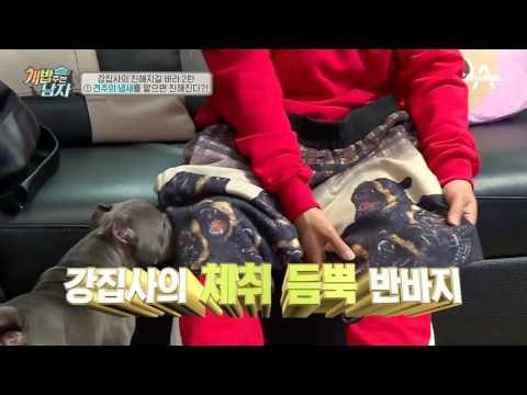 20년 차 강타 집사의 친밀감 키우기 솔루션! 피아노 즉석 연주까지♥