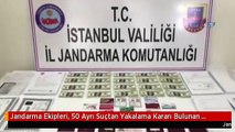 Jandarma Ekipleri, 50 Ayrı Suçtan Yakalama Kararı Bulunan Umut Tacirini Yakaladı