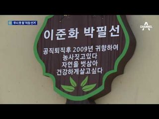 20만 원 수당에 상여금…무시 못 할 이장선거