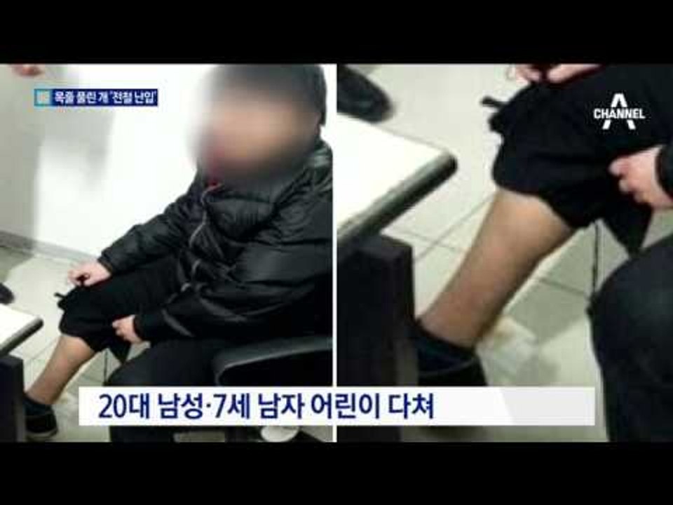 ‘전철역 난입’ 맹견 주인 책임은…공포의 20분