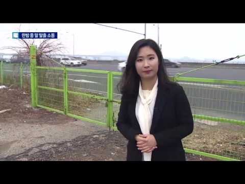 자유로 한복판 말 4마리 출몰…도로 역주행