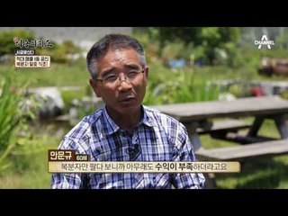 ‘복분자’로 연 매출 8억 원! 1등 공신은 ‘복분자 발효 식초’?!