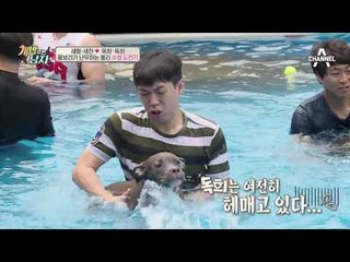 독희를 닮은(?) 독희 친구들의 수영 실력은?!