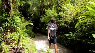 BOOKER TRAVELS - The Best of Barbados
