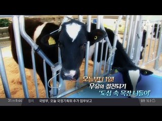 우유와 절친되기 프로젝트, 도심 속 목장 나들이