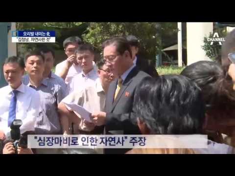 강철 북한 대사 “김정남 자연사”…북한의 생떼