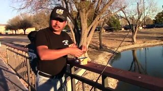 Fishing With The Kids At Alumni Pond