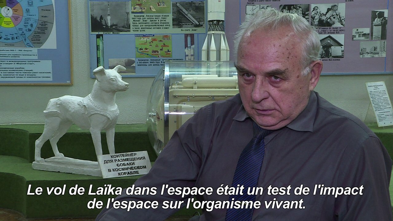 Il y a 60 ans, l'URSS envoyait la chienne Laïka dans l'espace