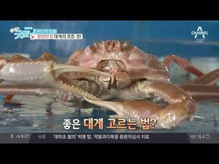 [맛집]바다의 보물 영양만점 대게의 모든 것