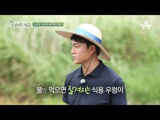 [농사비법] 김성호 농부의 건강한 우렁이 양식 노하우! #깨끗한물 #비타민