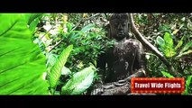 Bali Indonesia | Cheap Flights to Bali