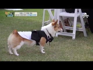 대중소 바라기 강원래 아들 ‘강선’, ‘중’에게 물리다?!