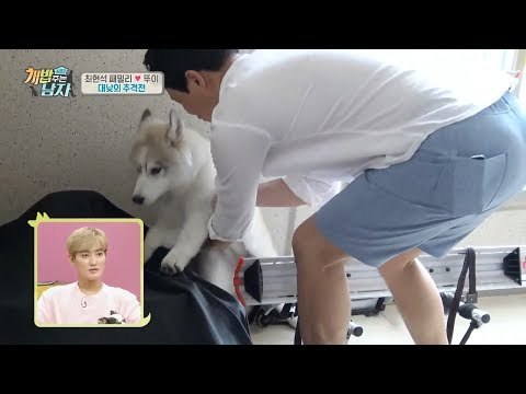 [질주본능] 누구도 뚜이를 막을 수 없다?! 대낮에 벌어지는 추격전!