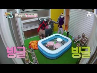 신호등 삼형제의 끝나지 않는 노동! 밟아도 밟아도 끝나지 않는 빨래?!