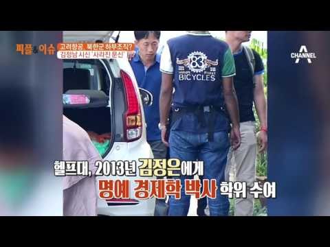 고려항공, 북한군 하부조직? 김정남 시신, 사라진 문신