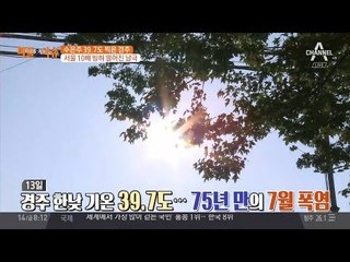 경주 한낮 기온 39.7도, 75년 만의 7월 폭염