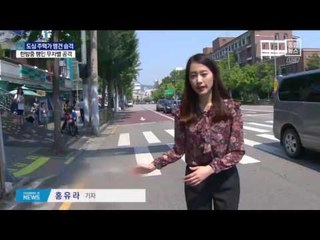 한밤중 시민 습격한 맹견…견주 ‘과실치상’ 혐의