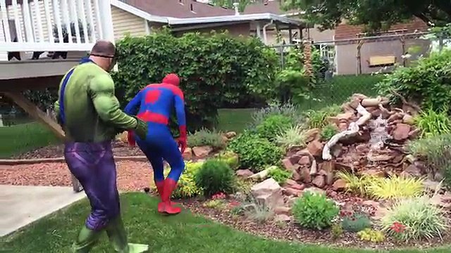 SPIDERMAN BECOMES A MERMAID! Frozen Elsa Hulk Superhero Babies Play Doh Cartoons Stop Motion Movies