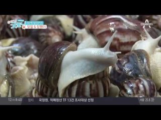 더위를 이겨낸다! 이색 보양식 닭발&달팽이