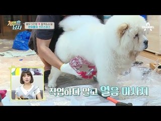 피움골에서 펼쳐지는 한여름의 크리스마스! (For 활짝 & 피움)