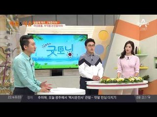 살충제 계란 공포, 하루에 2개 정도는 괜찮다?!