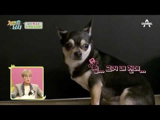 뒤바뀐 세력 구도! 강집사가 없는 거실에는 무슨 일이?!