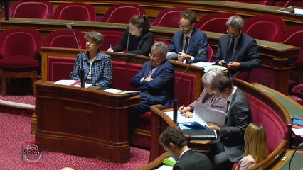 [Questions sur] La PPL relative à l'accueil des gens du voyage et à la lutte contre les installations illicites