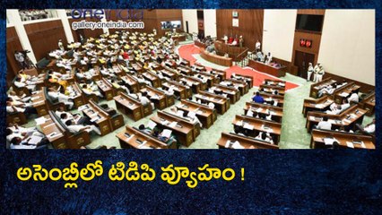 అసెంబ్లీలో టిడిపి వ్యూహం : వైసీపీ నేతల గురించి మాట్లాడకూడదని ఇలా...! | Oneindia Telugu