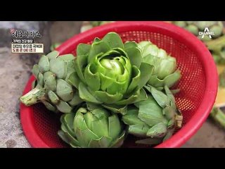 꽃봉오리 채소 ‘아티초크’ 요리로 대장암 후유증을 극복하다?!