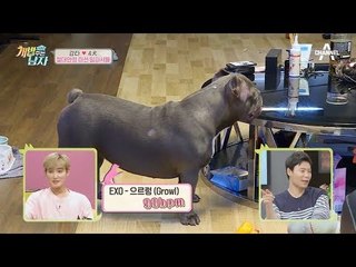 뮤지션 강집사의 진정 꿀팁! ‘심박수와 비슷한 BPM의 음악 들려주기’